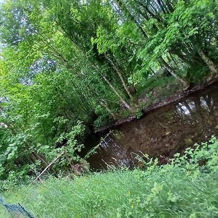 Gite De L'Ours Saint-Maurice-sur-Moselle Kültér fotó