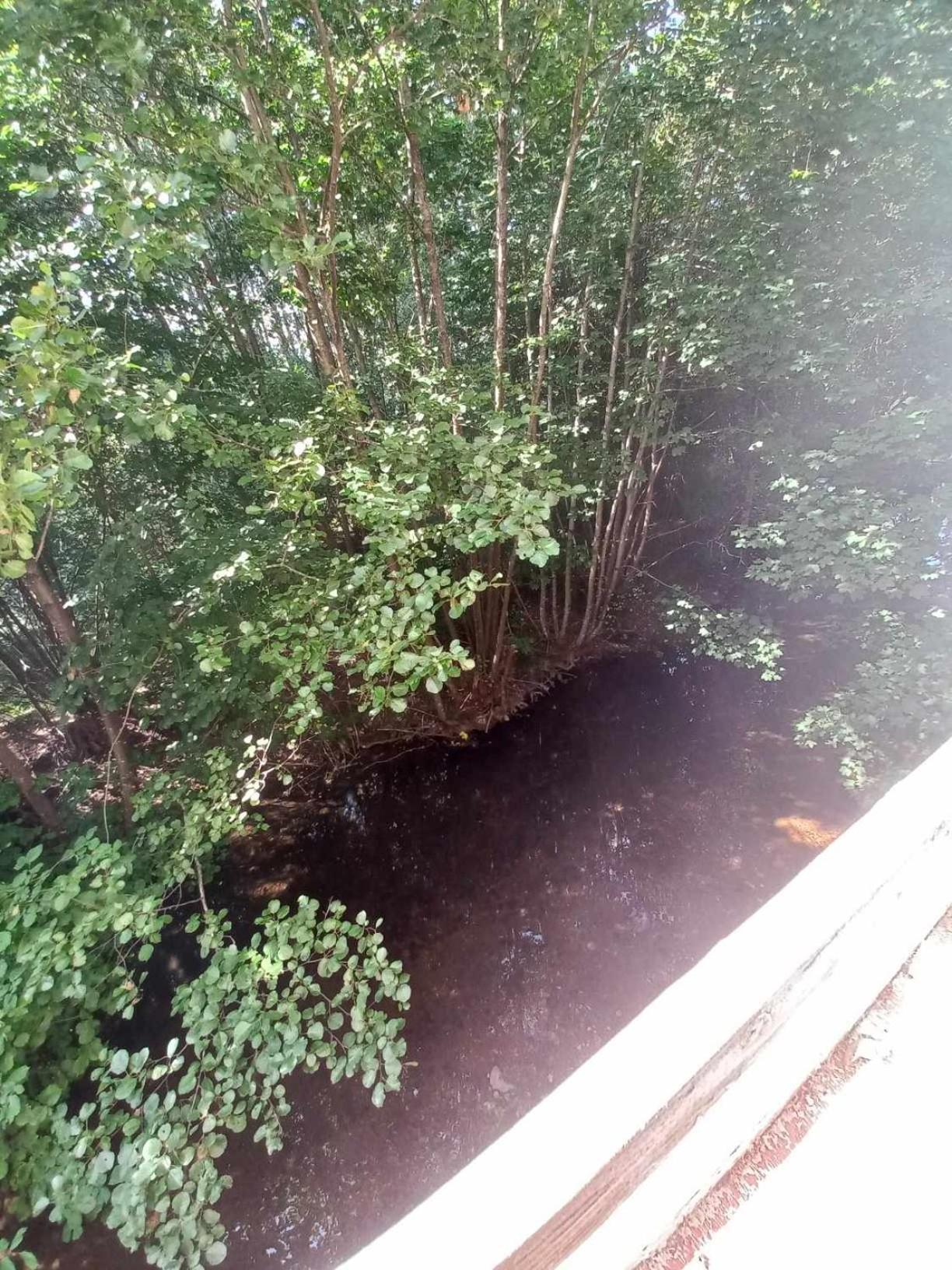 Gite De L'Ours Saint-Maurice-sur-Moselle Kültér fotó