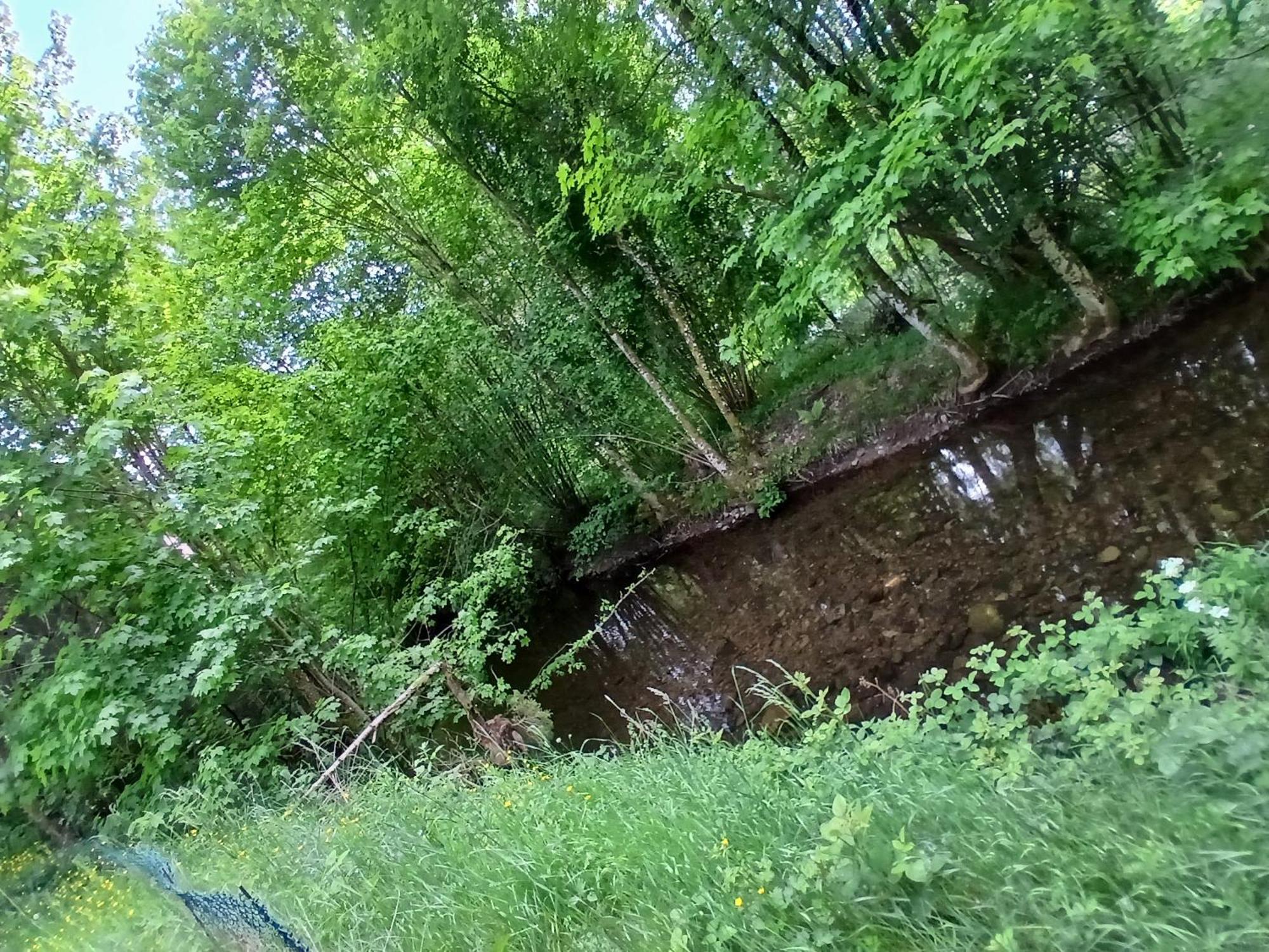 Gite De L'Ours Saint-Maurice-sur-Moselle Kültér fotó
