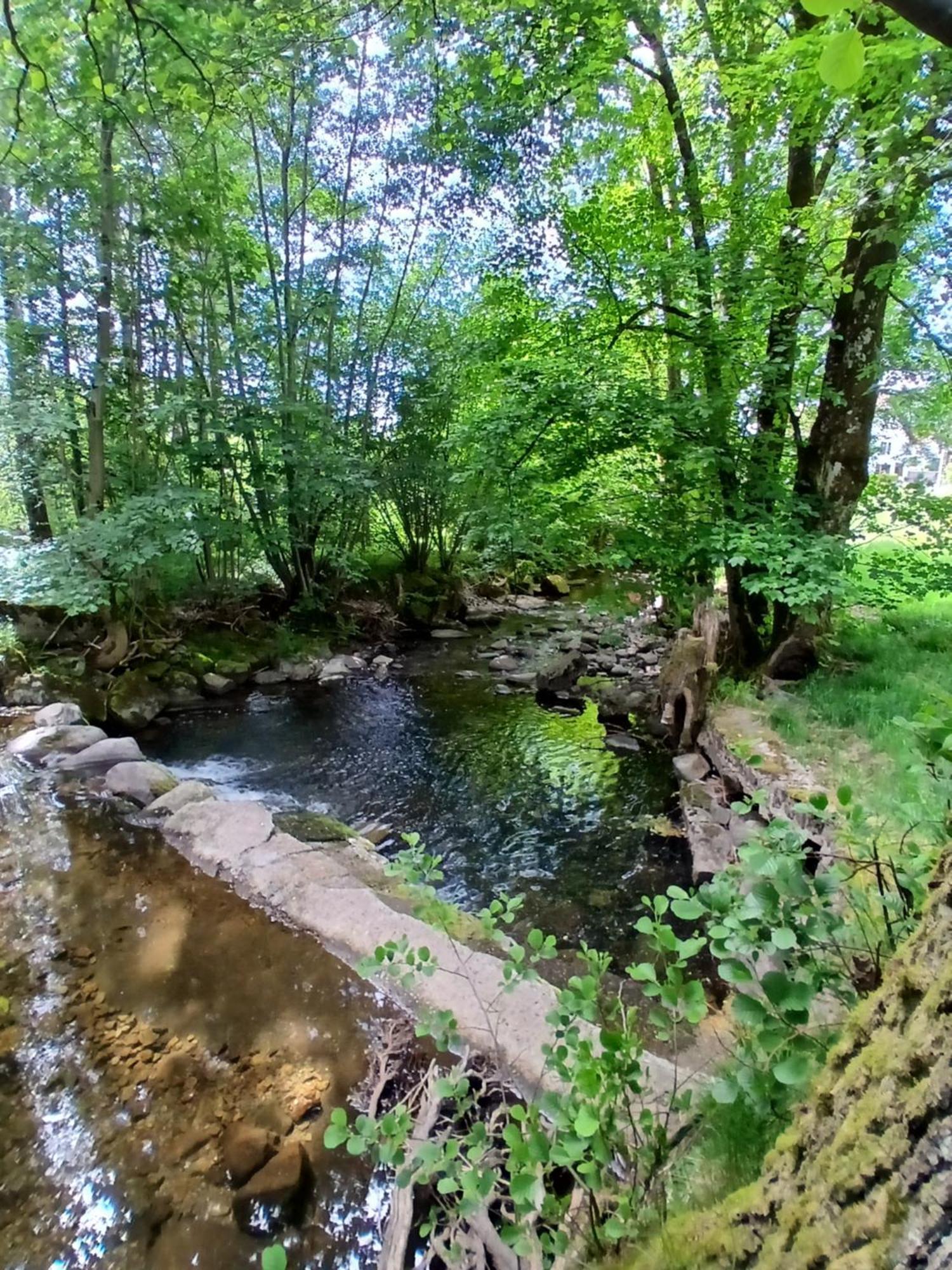 Gite De L'Ours Saint-Maurice-sur-Moselle Kültér fotó