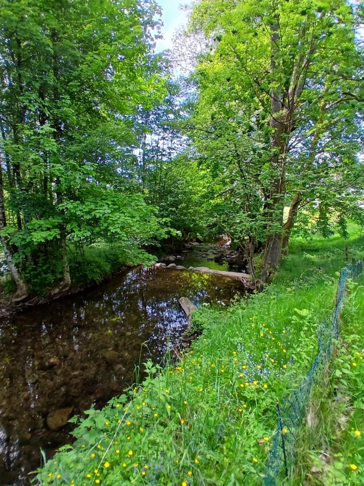 Gite De L'Ours Saint-Maurice-sur-Moselle Kültér fotó